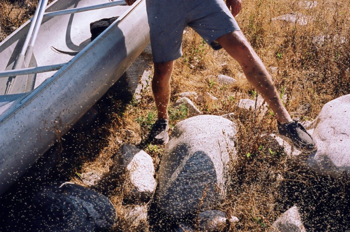24800036c