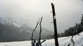 Idaho 5829-10